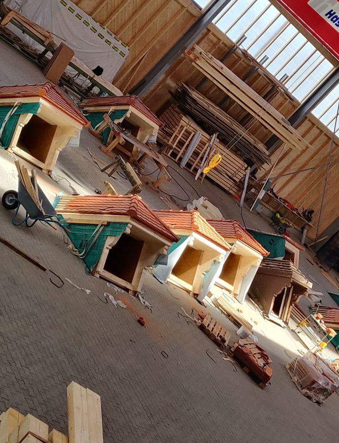 Dachgauben der Zimmerei Ring